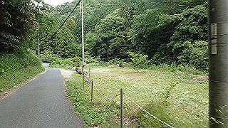 p6251555_thumb.jpg
