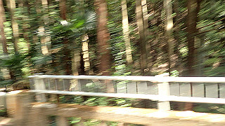 p6251557_thumb.jpg