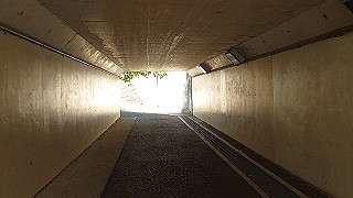p6251566_thumb.jpg
