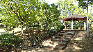 p6251568_thumb.jpg