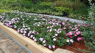 p7141454_thumb.jpg