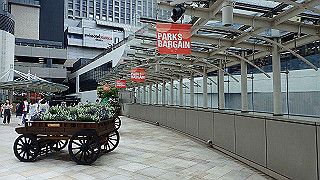 p7141458_thumb.jpg