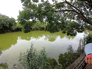 gh010034.mp4_thumb.jpg