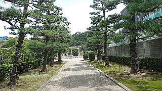 p7211447_thumb.jpg
