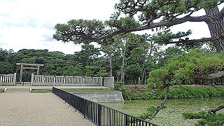 p7211471_thumb.jpg