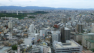 p7211477_thumb.jpg