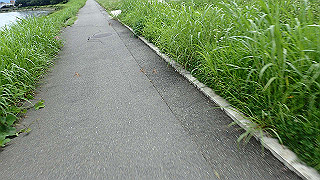 p7211493_thumb.jpg