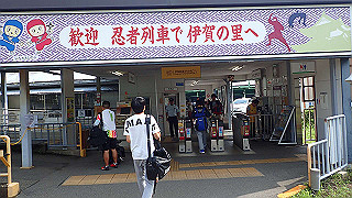 p7241396_thumb.jpg