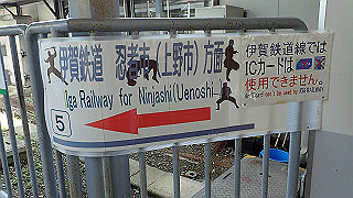 p7241397_thumb.jpg