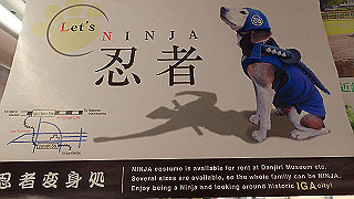 p7241412_thumb.jpg