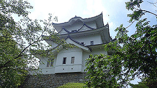 p7241433_thumb.jpg