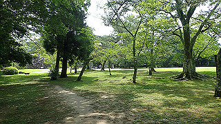 p7241434_thumb.jpg