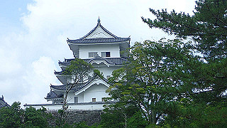 p7241435_thumb.jpg