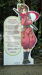 p7241441_thumb.jpg