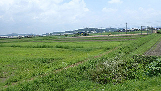 p7241459_thumb.jpg
