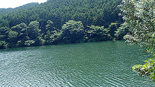 p7241481_thumb.jpg