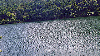 p7241482_thumb.jpg