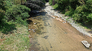 p7241496_thumb.jpg
