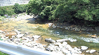 p7241509.mov_thumb.jpg