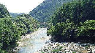 p7241513_thumb.jpg