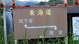 p7241518_thumb.jpg