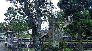 p7241519_thumb.jpg