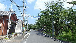 p7241542_thumb.jpg