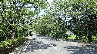 p7241543_thumb.jpg