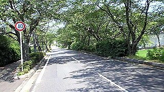 p7241544.mov_thumb.jpg