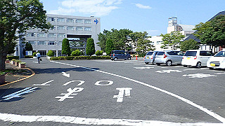 p7241557_thumb.jpg