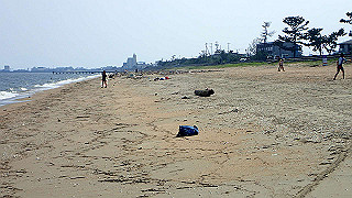 p7241569_thumb.jpg