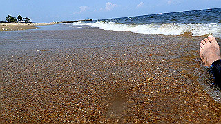 p7241588_thumb.jpg