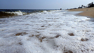 p7241589_thumb.jpg