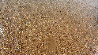 p7241591_thumb.jpg