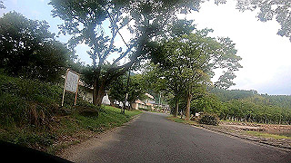gh010099.mp4_thumb.jpg