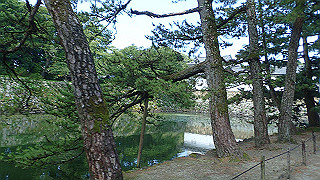 p7300489_thumb.jpg