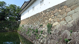 p7300491_thumb.jpg