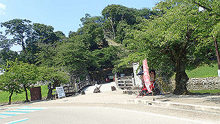 p7300493_thumb.jpg