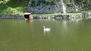 p7300500_thumb.jpg