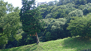 p7300501_thumb.jpg