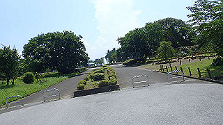 p7300537_thumb.jpg