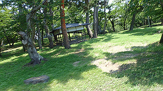 p7300539_thumb.jpg