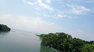 p7300548_thumb.jpg