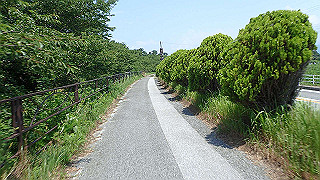 p7300550_thumb.jpg