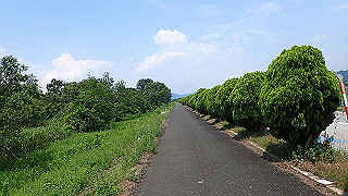 p7300552_thumb.jpg