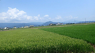 p7300564_thumb.jpg