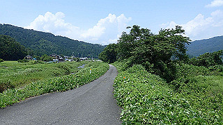 p7300570_thumb.jpg