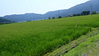 p7300584_thumb.jpg