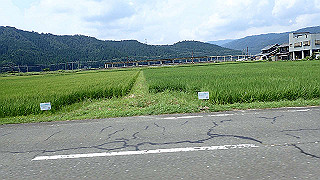 p7300585_thumb.jpg