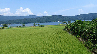 p7300590_thumb.jpg